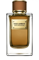 Парфюмерная вода Velvet Collection Leather Dolce & Gabbana