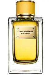 Парфюмерная вода Velvet Collection Ginestra Dolce & Gabbana