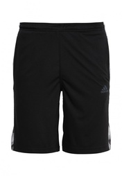 Шорты спортивные adidas Performance