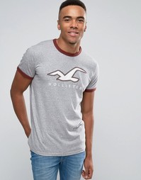 Серая футболка слим с принтом логотипа и контрастным кантом Hollister - Серый