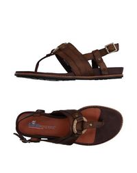 Вьетнамки Timberland