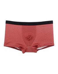 Боксеры Dolce & Gabbana Underwear