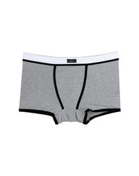 Боксеры Cesare Paciotti Underwear