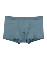Боксеры Dolce & Gabbana Underwear