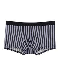 Боксеры Dolce & Gabbana Underwear