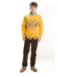 Свитшоты PELICAN