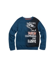 Свитшоты PELICAN