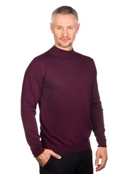Водолазки GREG