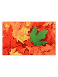 Коврики комнатные Empire