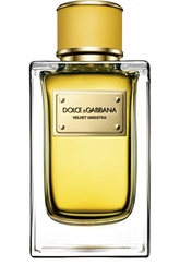 Парфюмерная вода Velvet Collection Ginestra Dolce & Gabbana