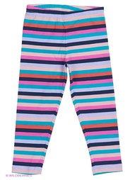 Леггинсы SELA