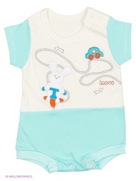 Боди Babycollection