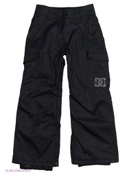 Брюки DC Shoes