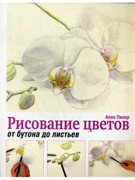 Книги Попурри