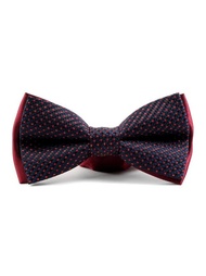 Бабочки Pierre Lauren