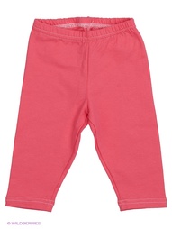 Леггинсы KIDONLY