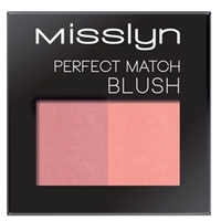 MISSLYN Румяна Perfect match blush № 48