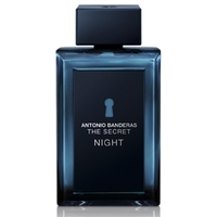ANTONIO BANDERAS The Secret Night Туалетная вода, спрей 100 мл