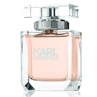 KARL LAGERFELD for Her Парфюмерная вода, спрей 45 мл