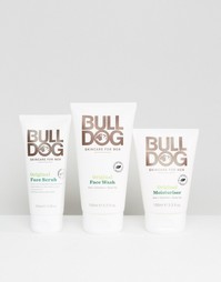 Набор средств по уходу за кожей Bulldog One Off Bundle - Скидка 30 - Мульти