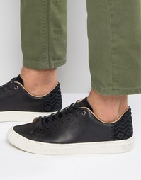 Кожаные кроссовки Toms Lenox - Черный
