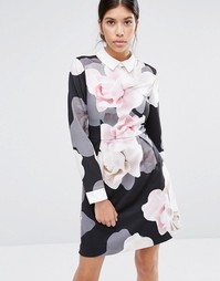 Платье с воротником Ted Baker Lascii Porcelain Rose - Черный