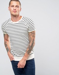 Свитшот в полоску с короткими рукавами Scotch and Soda - Кремовый