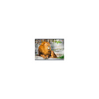 Альбом для рисования "Царственный лев", 40л Эксмо