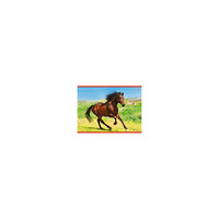 Альбом для рисования "Благородный конь", 20л Эксмо