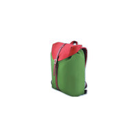 Рюкзак молодежный, зеленый Феникс+