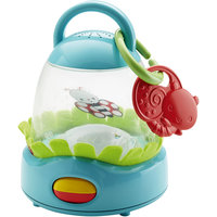 Погремушка с бабочкой и интерактивным звучанием, Fisher Price Mattel