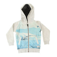 Толстовка классическая детская Quiksilver Phtosprintzboy Light Grey Heather