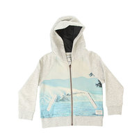 Толстовка классическая детская Quiksilver Photoprintzbaby Light Grey Heather