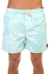 Шорты пляжные Rip Curl Dreamer 16 Volley Light Blue