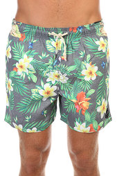 Шорты пляжные Rip Curl Dreamer 16 Volley Black