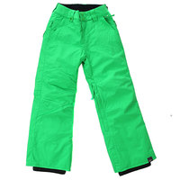 Штаны сноубордические детские Quiksilver Estate Andean Toucan
