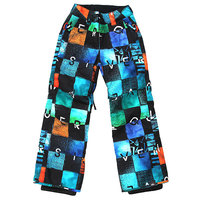 Штаны сноубордические детские Quiksilver Estate Black