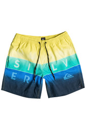 Шорты Quiksilver