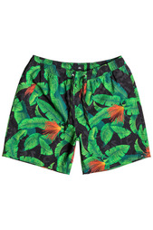 Шорты Quiksilver
