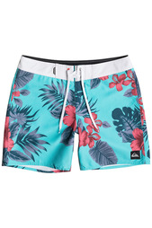Шорты Quiksilver