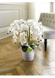 Искусственная орхидея Heine Home