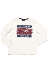 Толстовка U.S. Polo Assn.