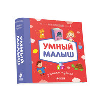 9 книжек-кубиков "Умный малыш, Мои первые слова" Clever