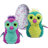 Игрушка Hatchimals - пингвинчик - интерактивный питомец, вылупляющийся из яйца, в ассортименте Spin Master