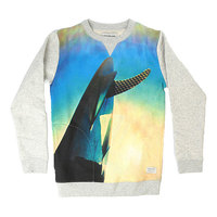 Толстовка свитшот детская Quiksilver Photopricrewyth Light Grey Heather