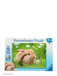 Пазлы Ravensburger