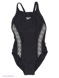 Слитные купальники Speedo