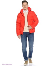 Куртки Tommy Hilfiger