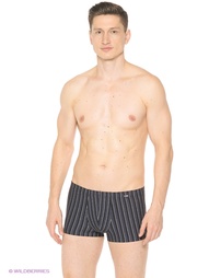 Трусы Body Star