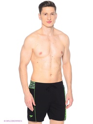 Шорты Speedo